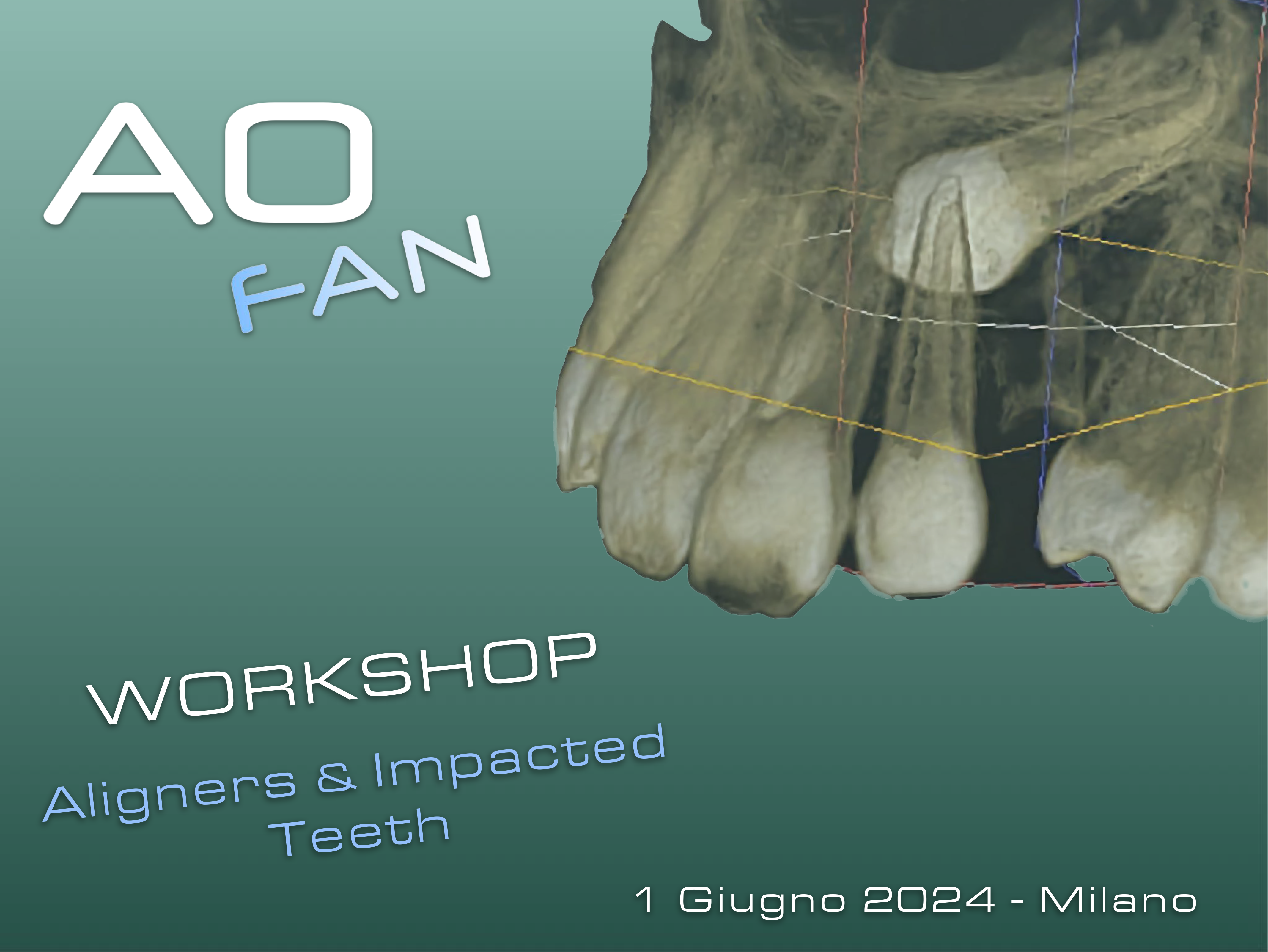 AOFAN Workshop Milano (1)-13